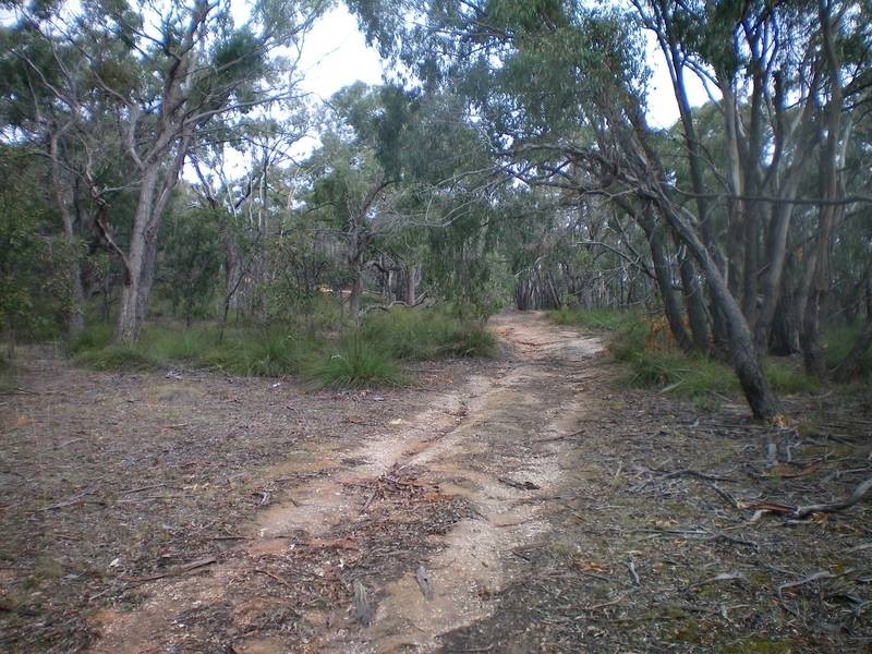Lot 37,  Piggoreet Road, Piggoreet VIC 3351