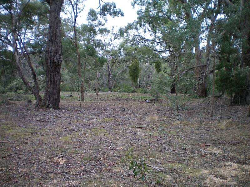 Lot 37,  Piggoreet Road, Piggoreet VIC 3351