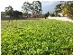 Buninyong VIC 3357