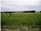 Snake Valley VIC 3351