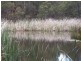 Smythes Creek VIC 3351