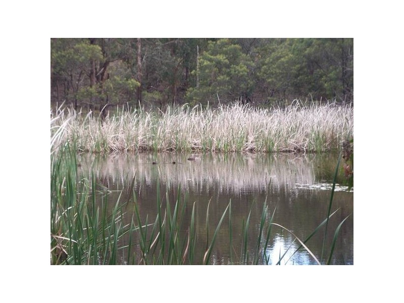 Smythes Creek VIC 3351