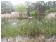 Smythes Creek VIC 3351