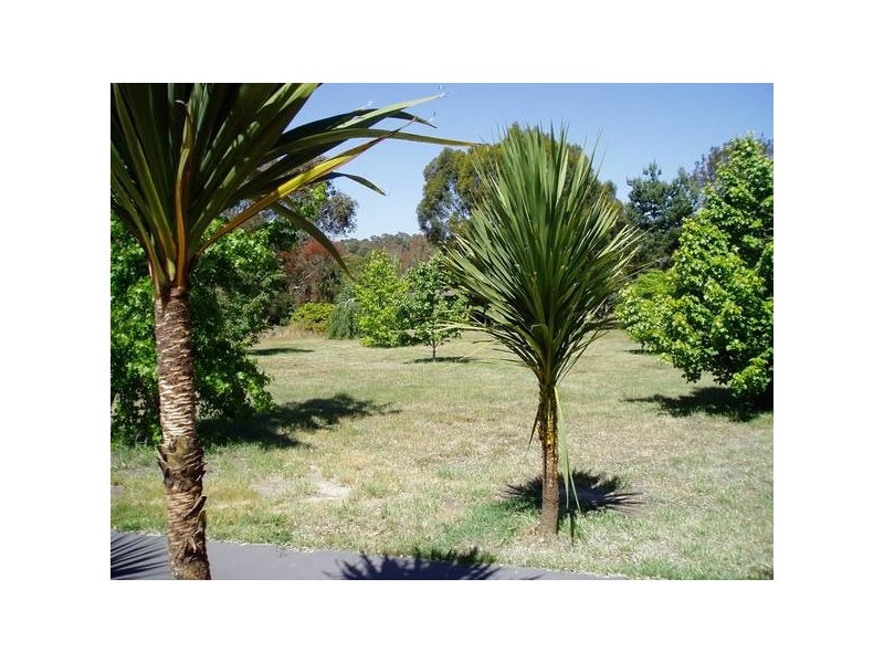 Smythes Creek VIC 3351