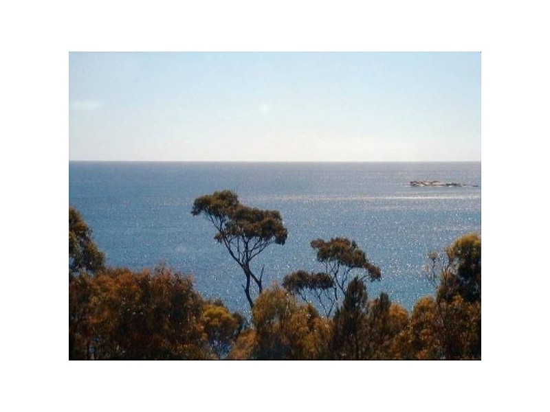 34 Treloggen Drive, Binalong Bay TAS 7216