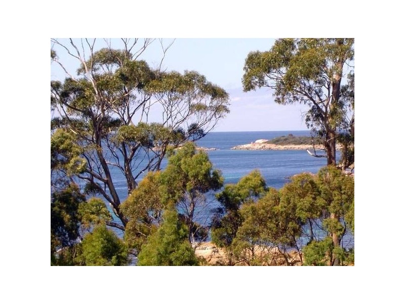 54 Treloggen Drive, Binalong Bay TAS 7216