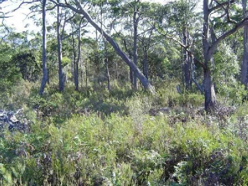 Lot 3 Tasman Highway, St Marys TAS 7215