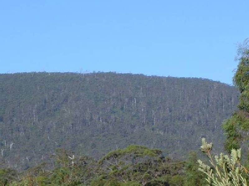 Lot 3 Tasman Highway, St Marys TAS 7215