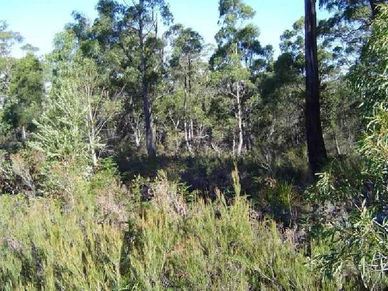 Lot 3 Tasman Highway, St Marys TAS 7215