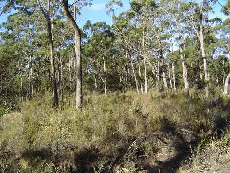 Lot 3 Tasman Highway, St Marys TAS 7215