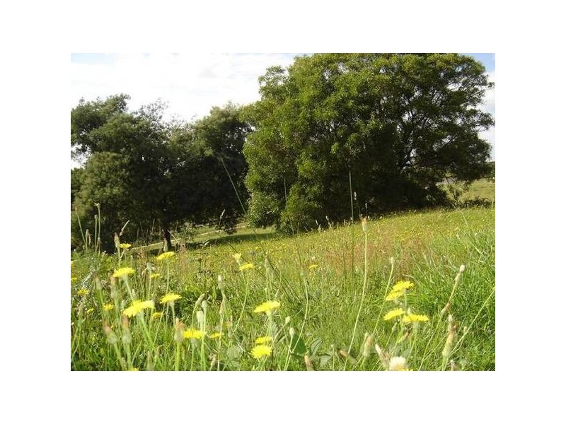 2 & 3 Tasman Highway, St Helens TAS 7216