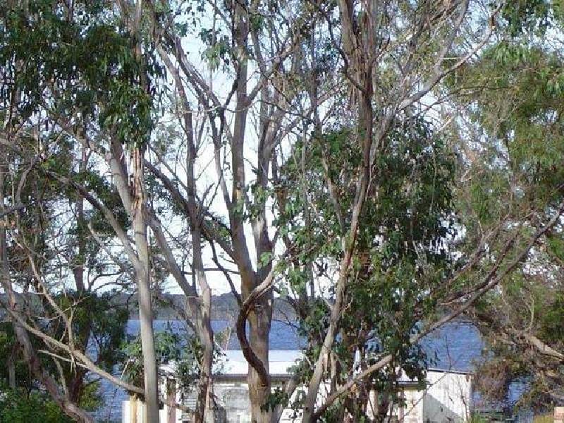 Lot 28 Banksia Drive, Ansons Bay TAS 7216