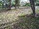 Lot 28 Banksia Drive, Ansons Bay TAS 7216