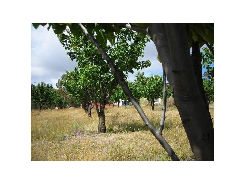 10 & 12 Bay Vista Rise, St Helens TAS 7216