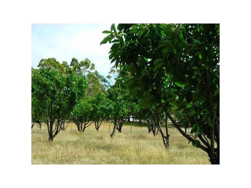 10 & 12 Bay Vista Rise, St Helens TAS 7216