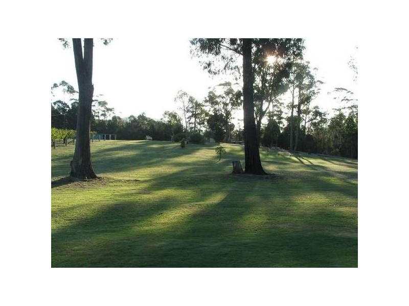 315 Medeas Cove Road, St Helens TAS 7216