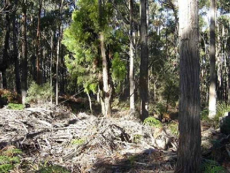 2208 Gardiners Creek Road, St Marys TAS 7215