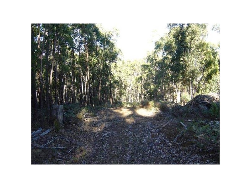2208 Gardiners Creek Road, St Marys TAS 7215