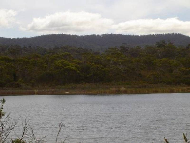 173 Main Road, Binalong Bay TAS 7216