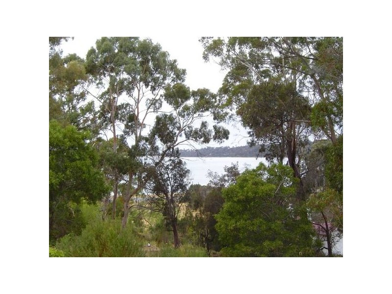 17 Halcyon Grove, St Helens TAS 7216