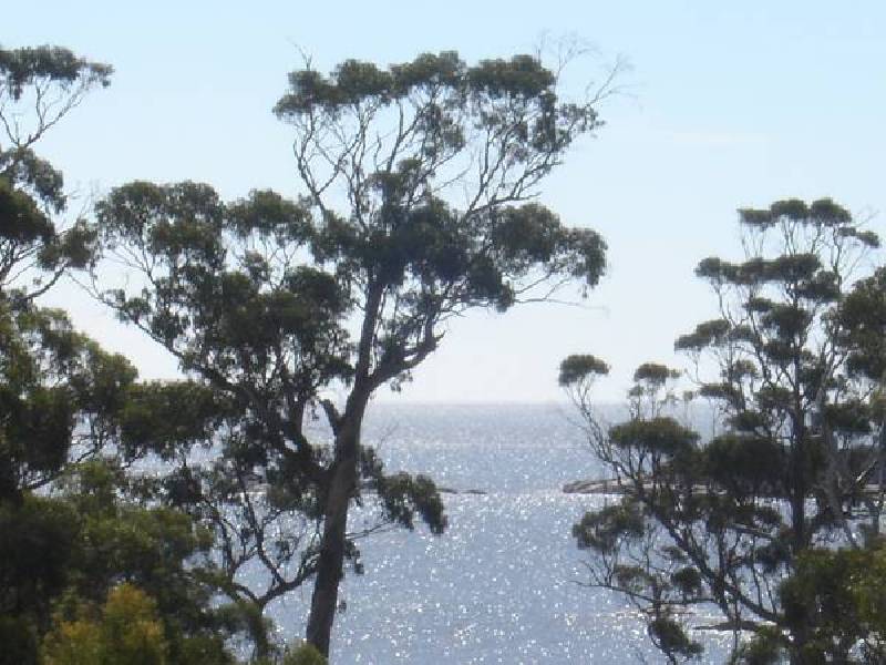 66 Treloggen Drive, Binalong Bay TAS 7216