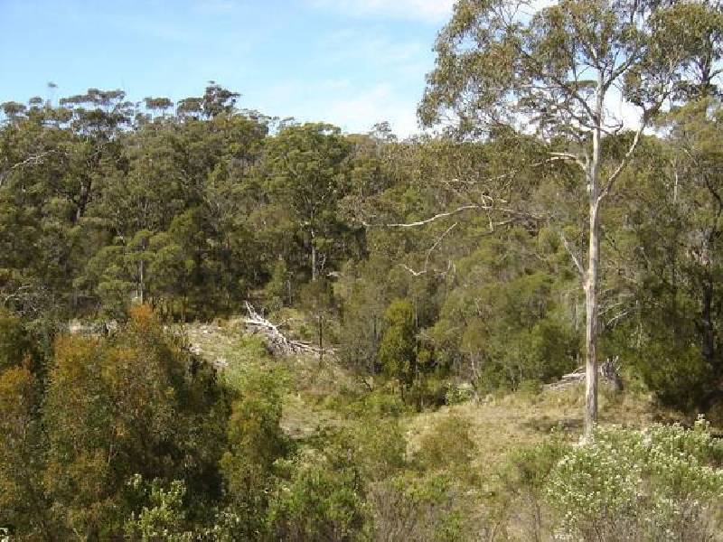 66 Treloggen Drive, Binalong Bay TAS 7216