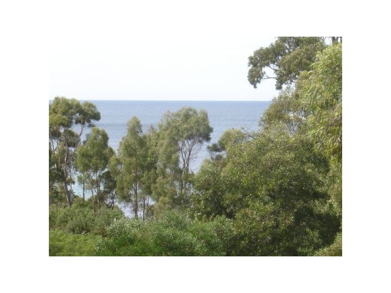 58 Treloggen Drive, Binalong Bay TAS 7216