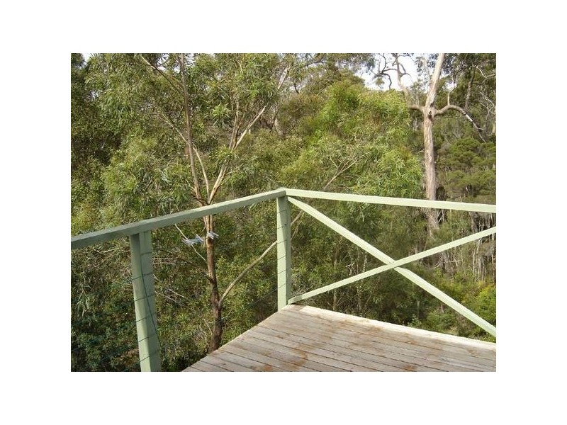 58 Treloggen Drive, Binalong Bay TAS 7216