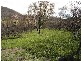 2 Tasman Highway, Four Mile Creek TAS 7215