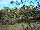2 Gardens Road, Binalong Bay TAS 7216