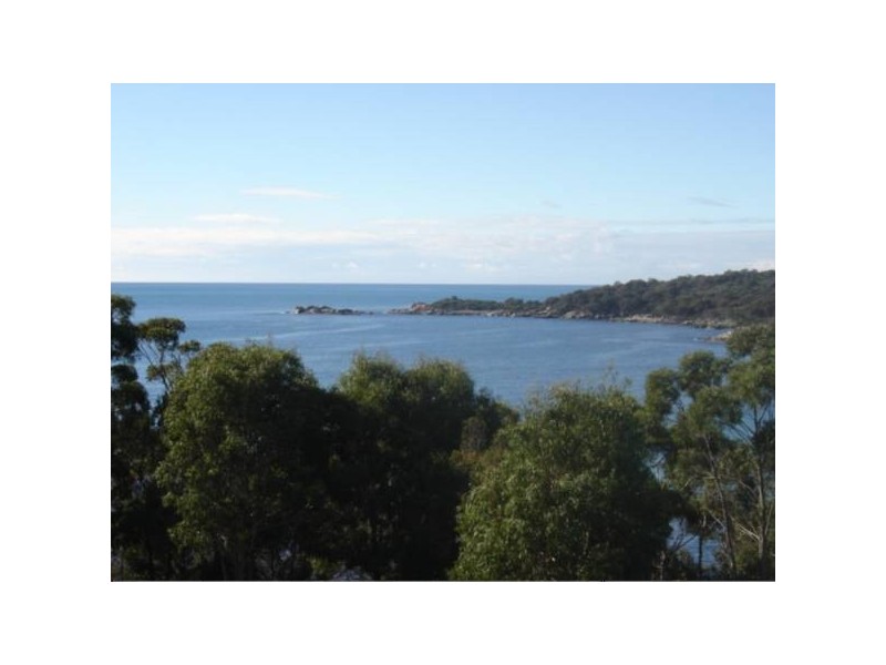 34 Treloggen Drive, Binalong Bay TAS 7216