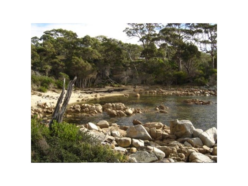 34 Treloggen Drive, Binalong Bay TAS 7216