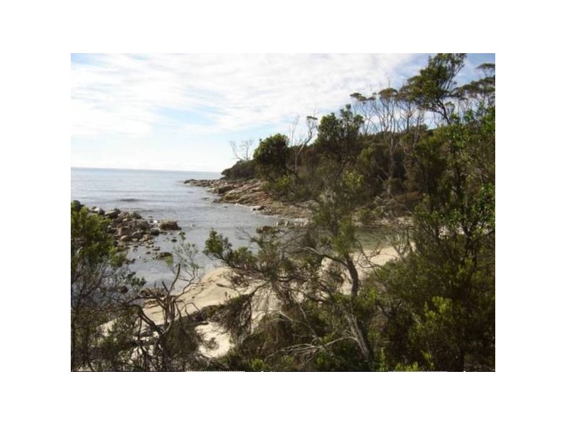 56 Treloggen Drive, Binalong Bay TAS 7216