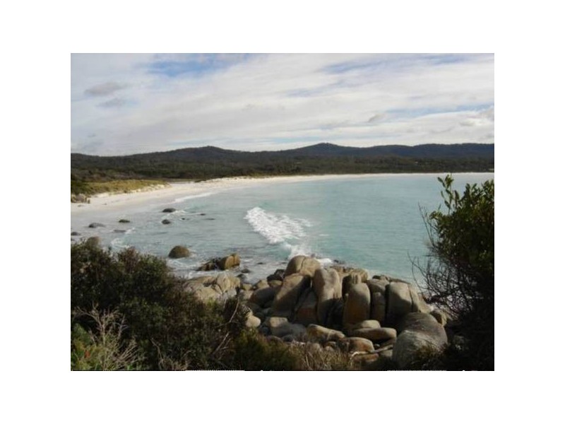 56 Treloggen Drive, Binalong Bay TAS 7216