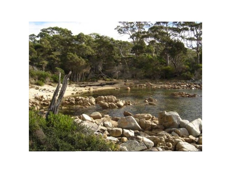 56 Treloggen Drive, Binalong Bay TAS 7216