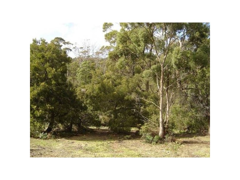 56 Treloggen Drive, Binalong Bay TAS 7216