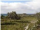 346 Gardens Road, Binalong Bay TAS 7216