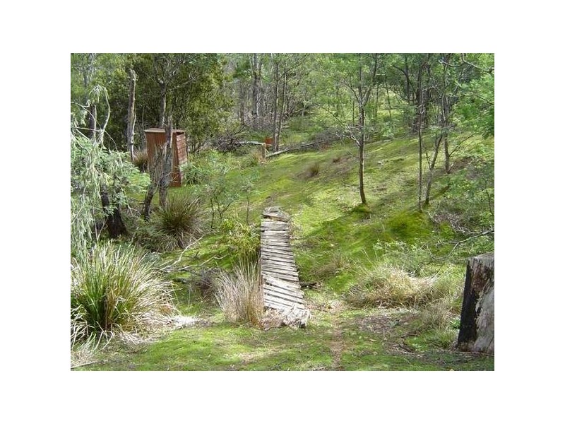 14152 Catos Creek, Scamander TAS 7215