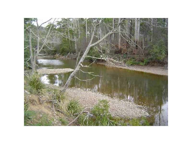 14152 Catos Creek, Scamander TAS 7215