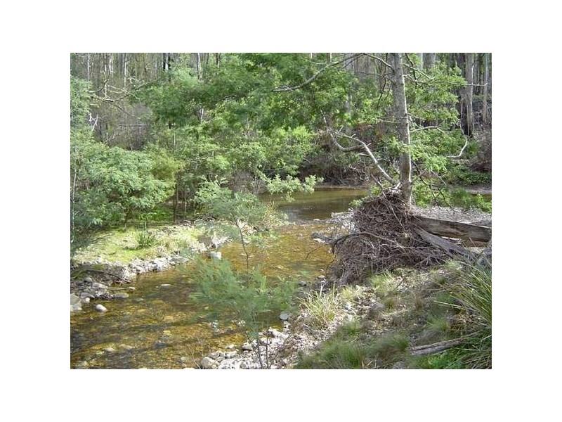 14152 Catos Creek, Scamander TAS 7215