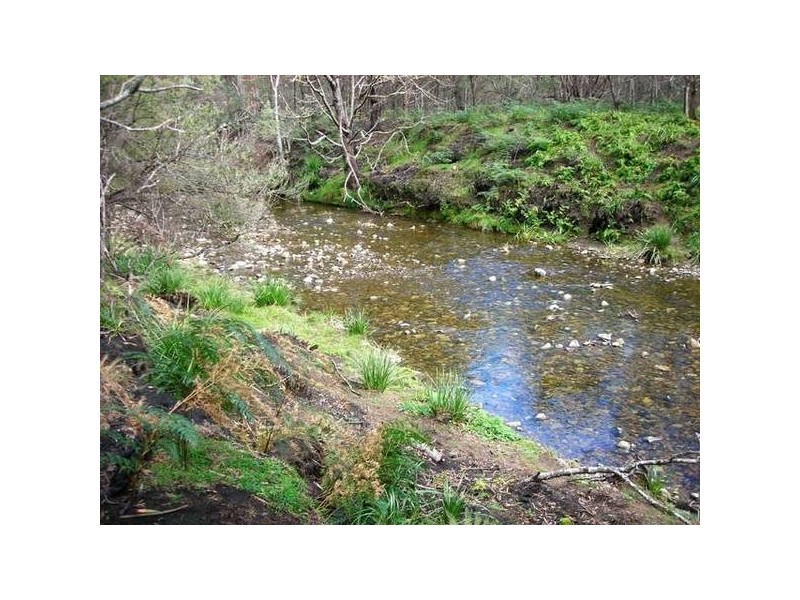 14152 Catos Creek, Scamander TAS 7215