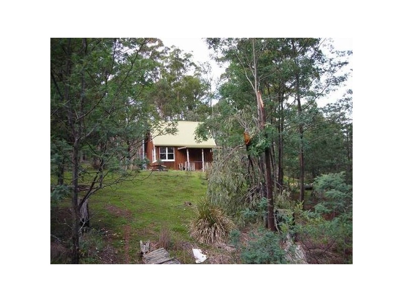 14152 Catos Creek, Scamander TAS 7215