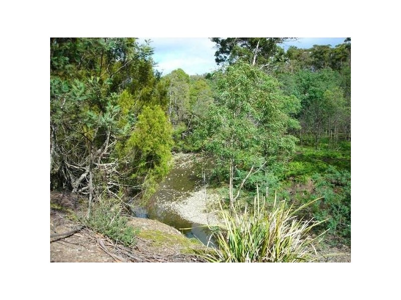 14152 Catos Road, Scamander TAS 7215