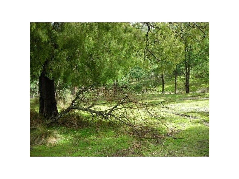 14152 Catos Road, Scamander TAS 7215