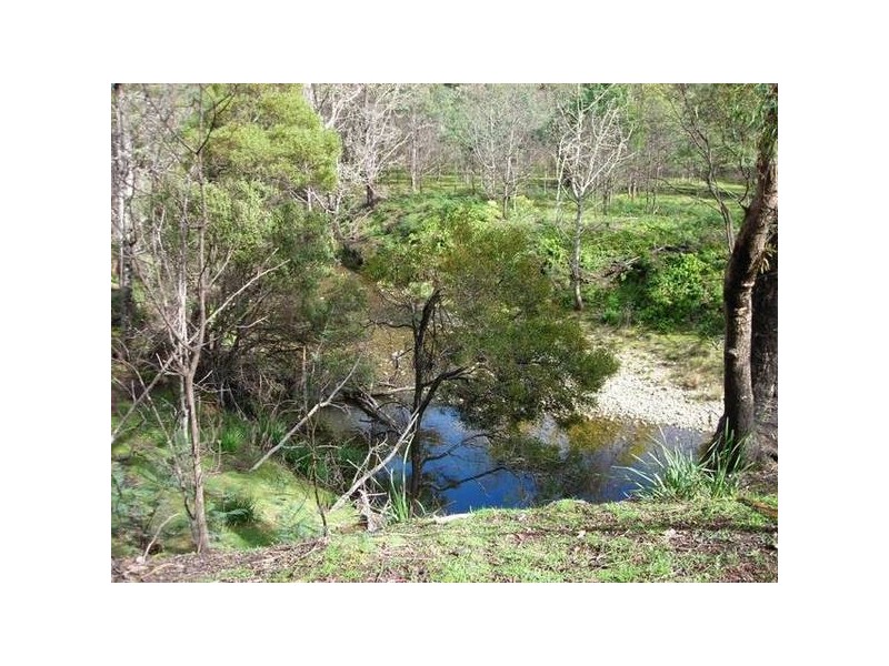 14152 Catos Road, Scamander TAS 7215