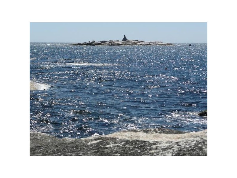 16 Seatons Cove Road, Binalong Bay TAS 7216