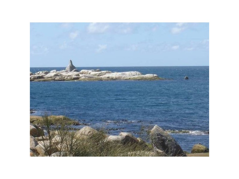 16 Seatons Cove Road, Binalong Bay TAS 7216