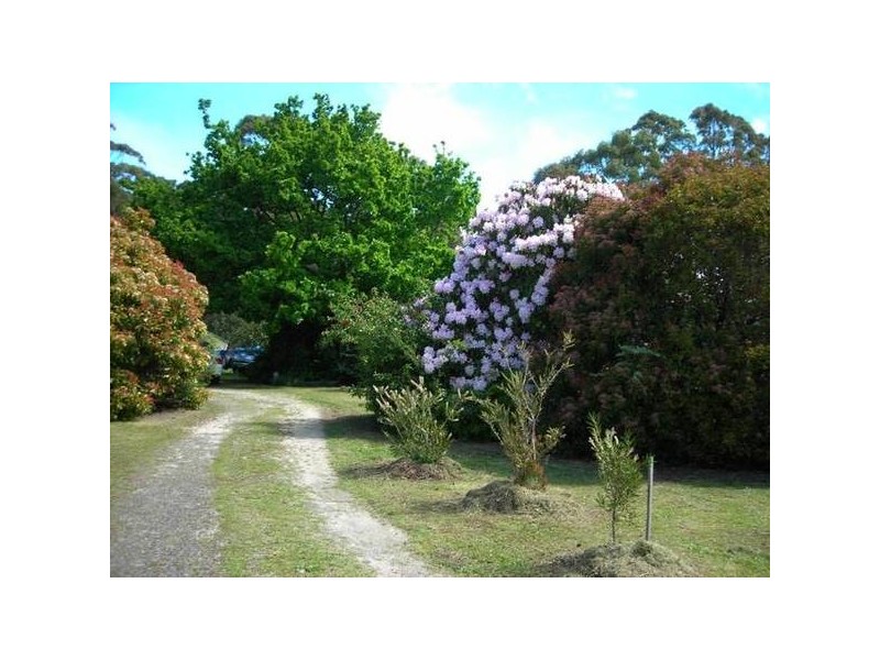14 Gray Road, St Marys TAS 7215
