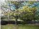 14 Gray Road, St Marys TAS 7215