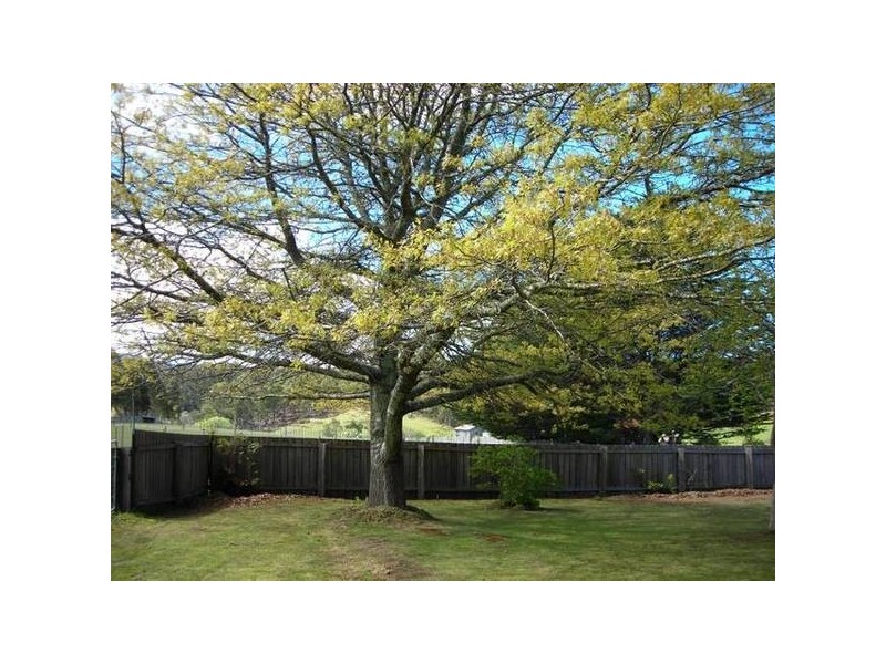 14 Gray Road, St Marys TAS 7215